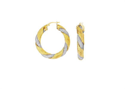 Two Tone Plated | Fashion Earrings